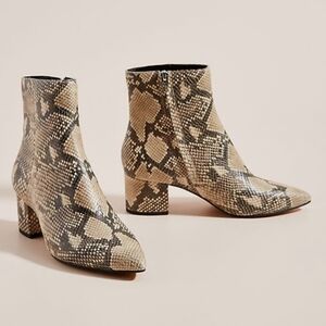 NEW Dolce Vita Bel Bootie in Snake Print